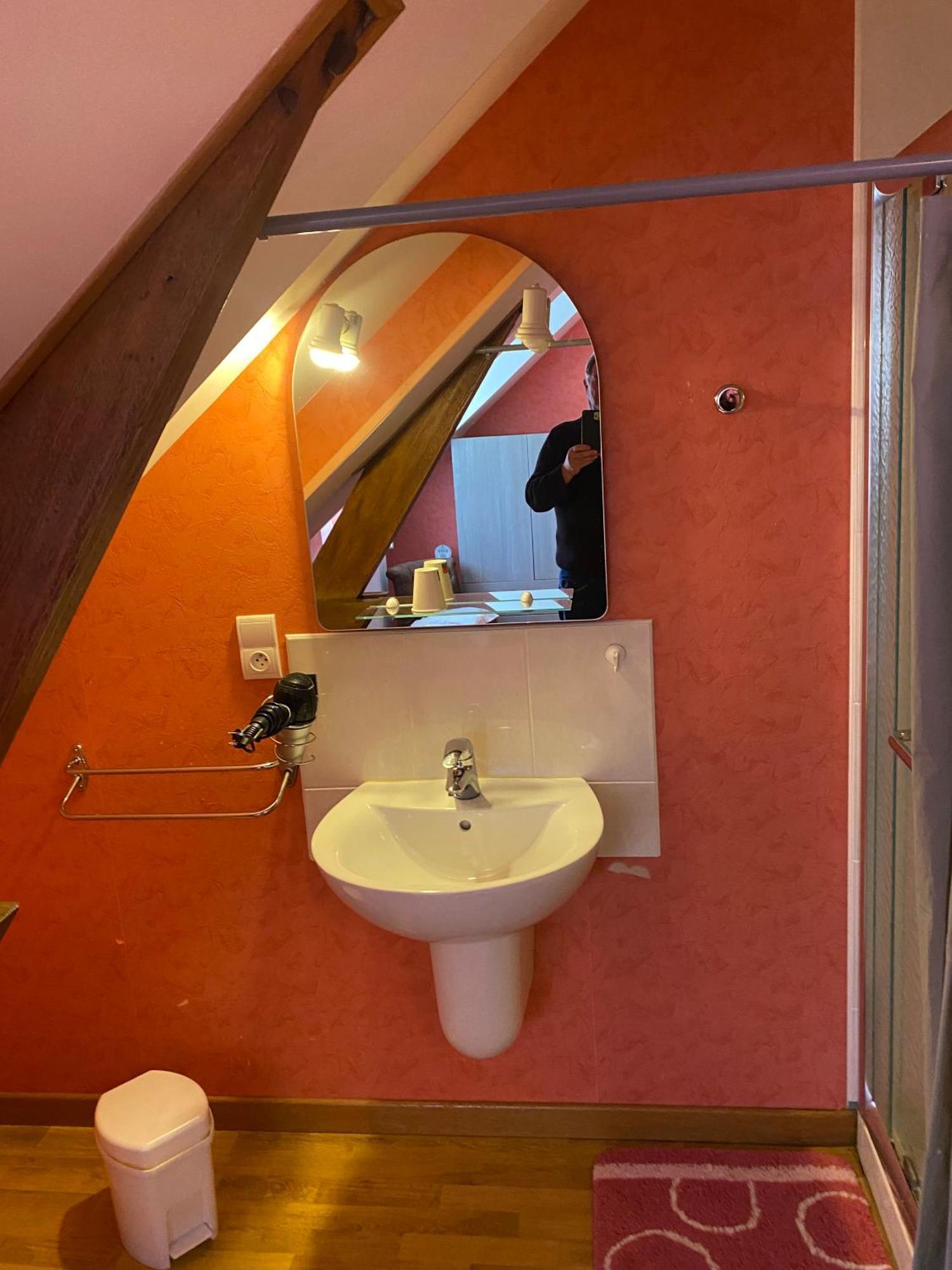 Moitron-sur-Sarthe Le Petitepinay Bed & Breakfast エクステリア 写真