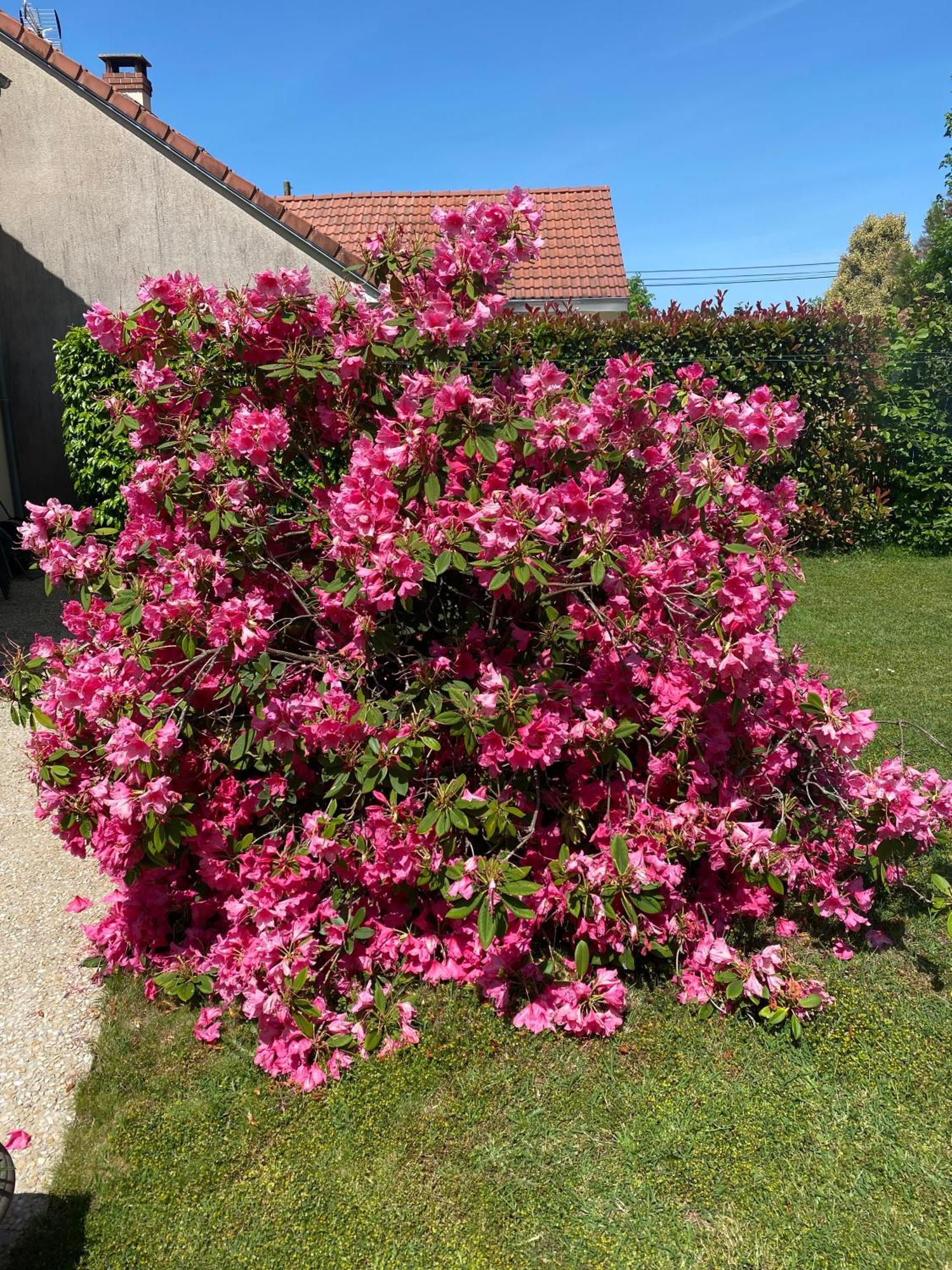 Moitron-sur-Sarthe Le Petitepinay Bed & Breakfast エクステリア 写真