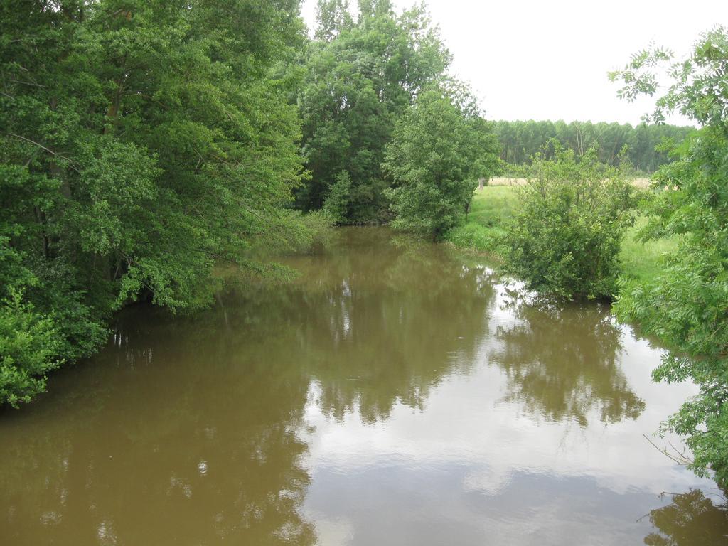 Moitron-sur-Sarthe Le Petitepinay Bed & Breakfast エクステリア 写真