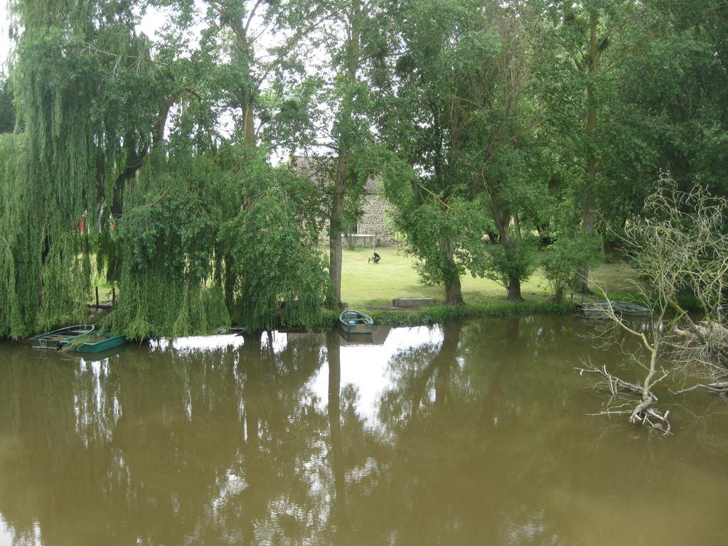 Moitron-sur-Sarthe Le Petitepinay Bed & Breakfast エクステリア 写真